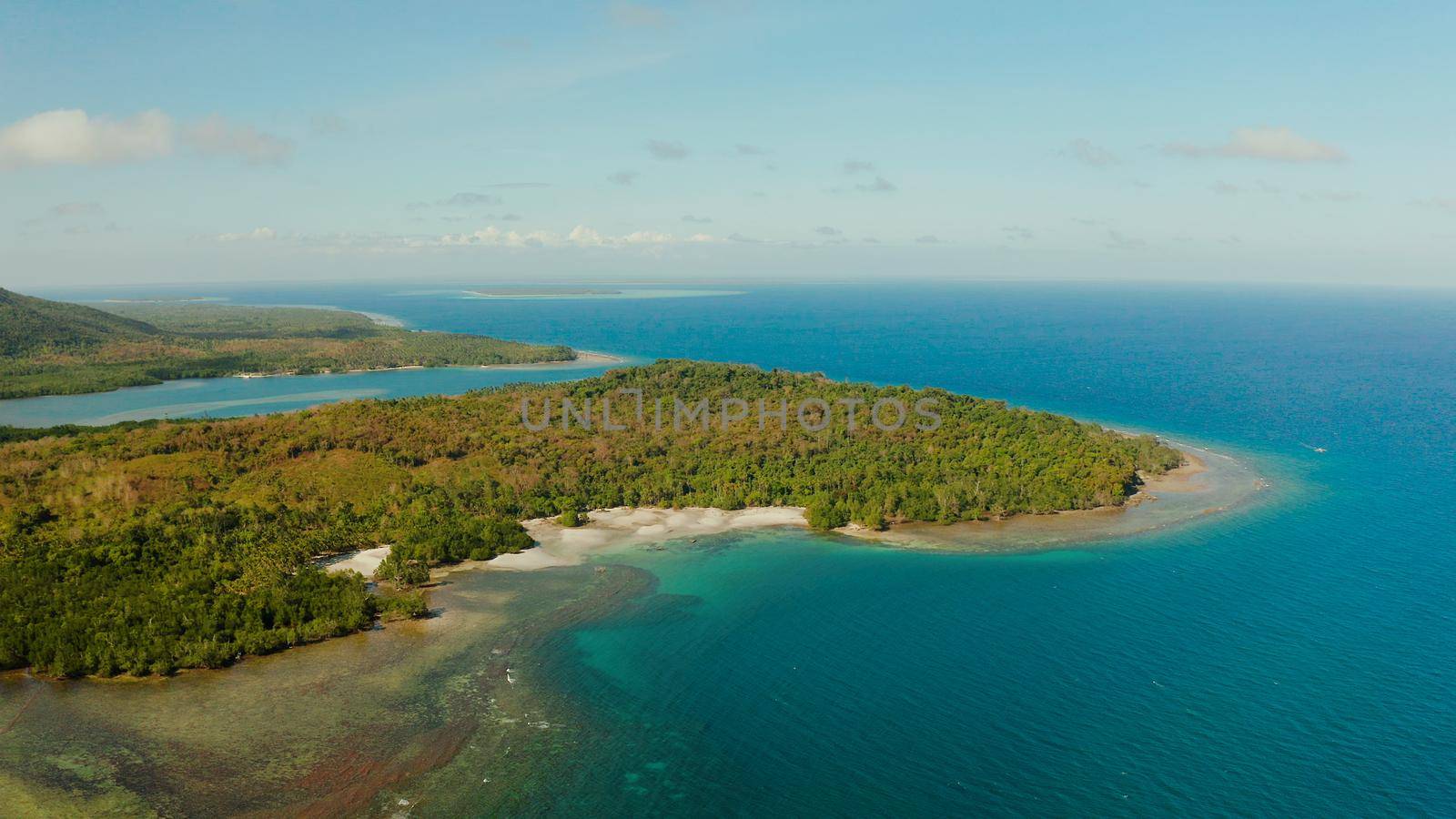 Seascape: shore of island Balabac with forest and palm trees, coral reef with turquoise water, top view. Coastline of tropical island covered with green forest against the blue sky with clouds and blue sea