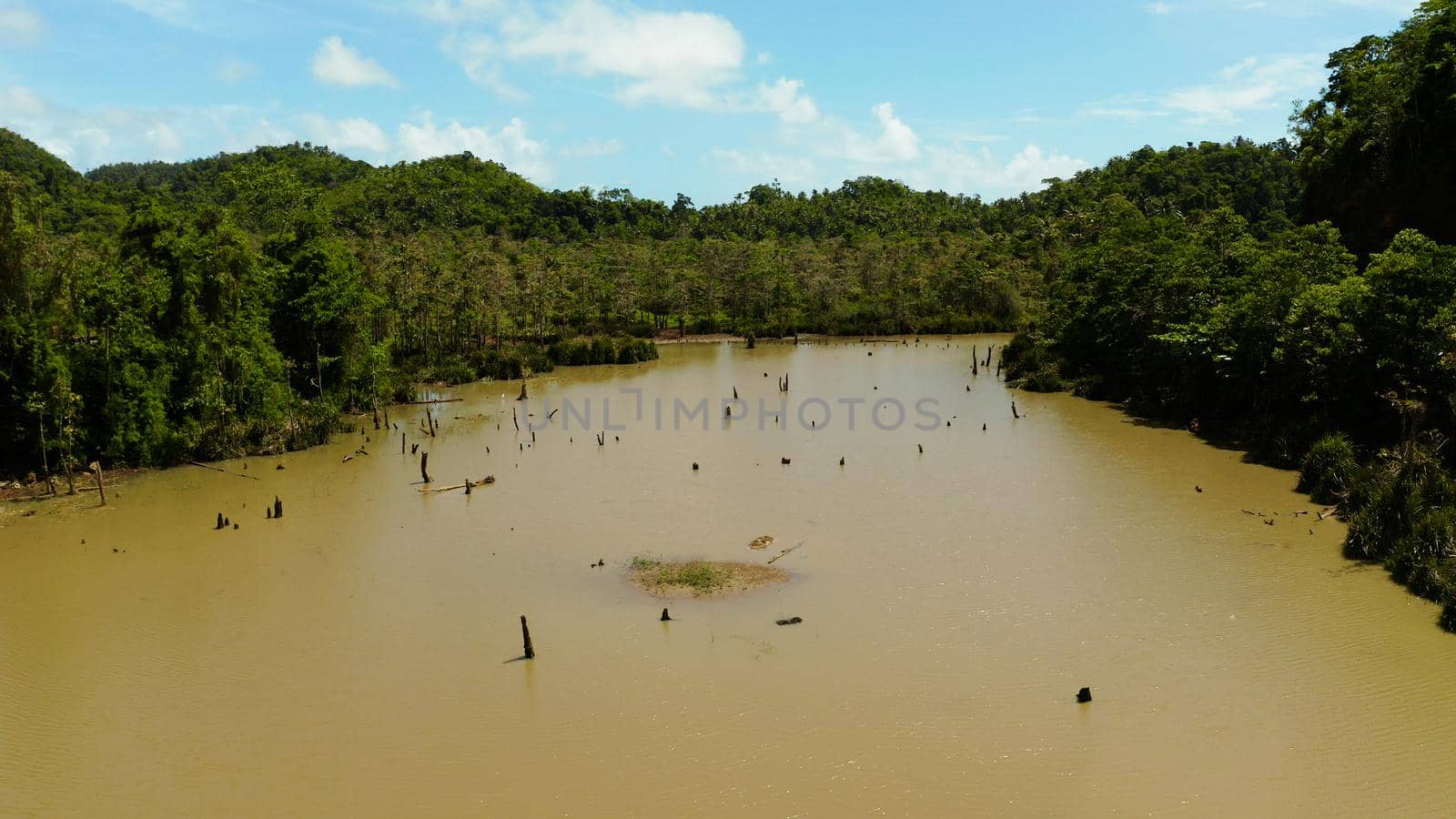 Pond and swamp in the tropical jungle among green vegetation. Siargao, Philippines.