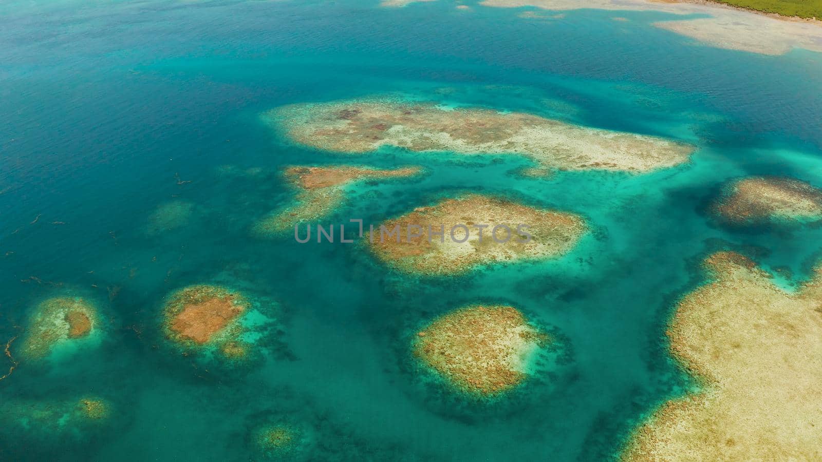 Turquoise lagoon surface on atoll and coral reef, copy space for text. Top view transparent turquoise ocean water surface. background texture