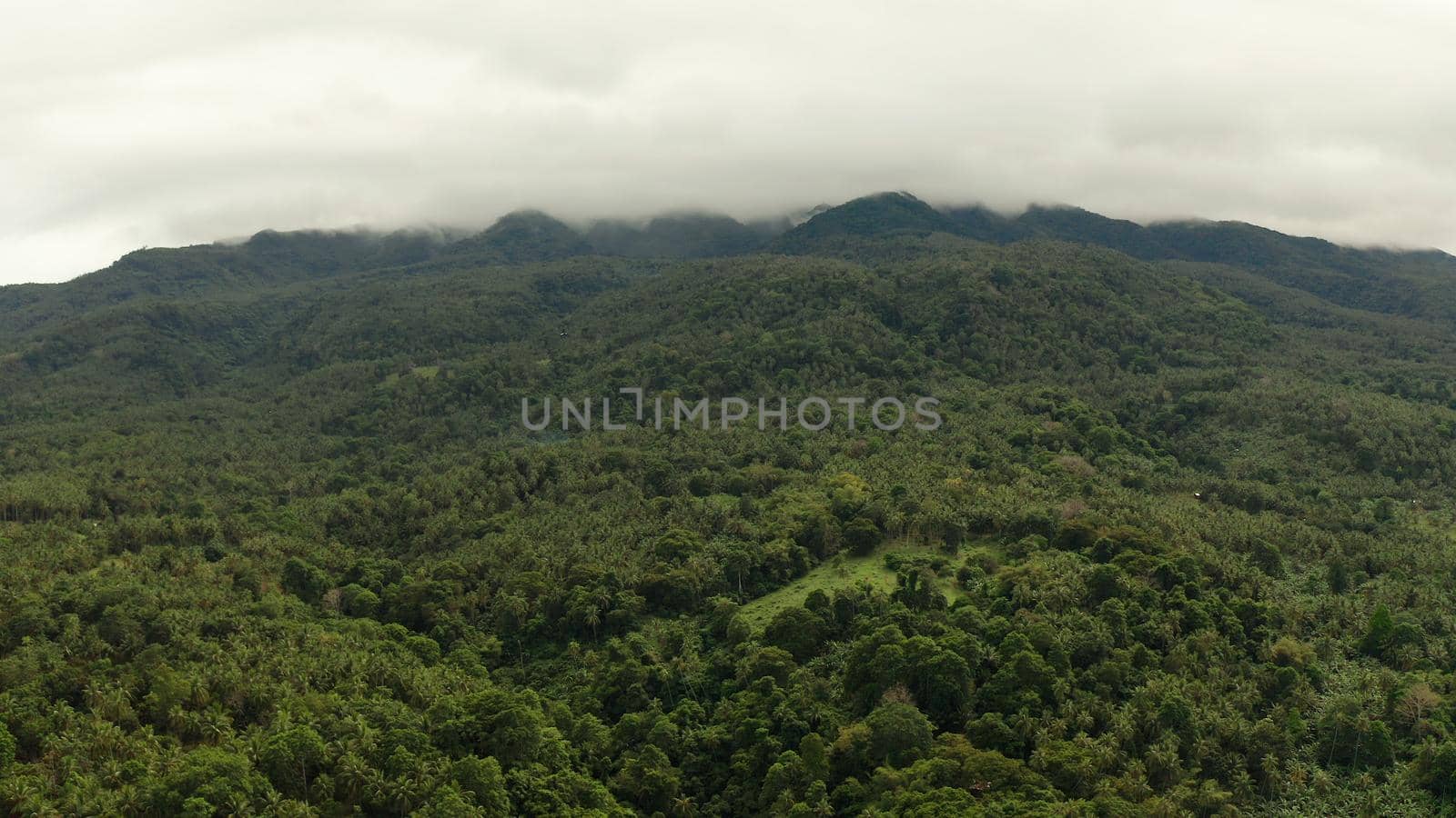 Mountains covered rainforest, trees in cloudy weather, aerial view. Camiguin, Philippines. Mountain landscape on tropical island with mountain peaks covered with forest. Slopes of mountains with evergreen vegetation.