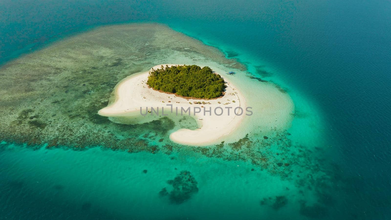 Tropical landscape: small island with beautiful beach, palm trees by turquoise water view from above. Patawan island with sandy beach. Summer and travel vacation concept.