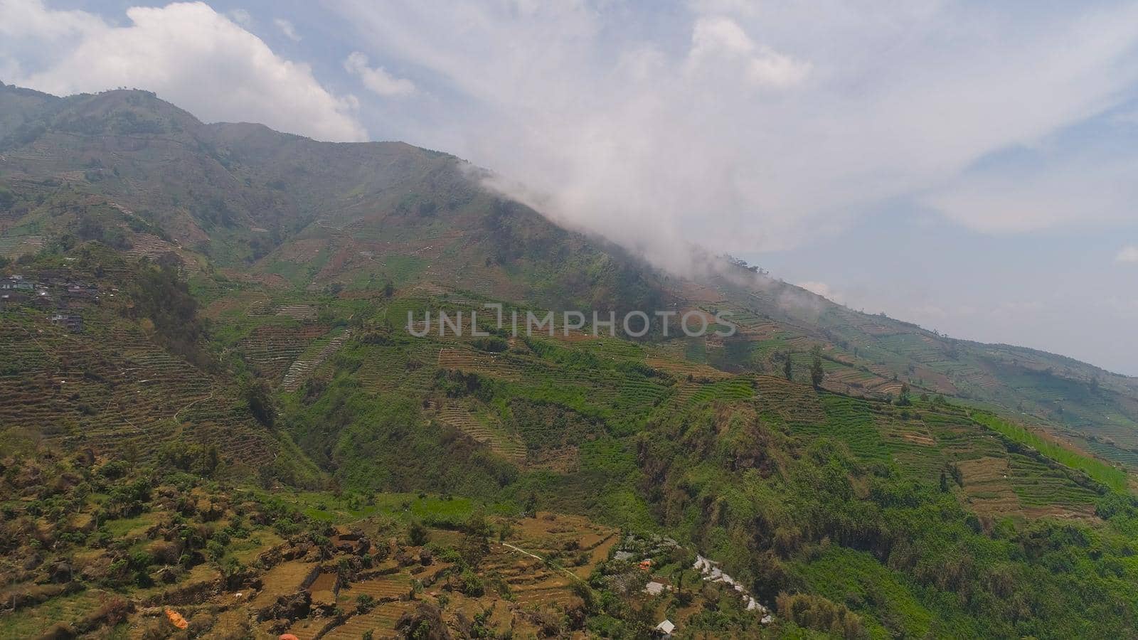 agricultural land in mountains fields with crops, trees. Aerial view farmlands on mountainside Java, Indonesia. tropical landscape