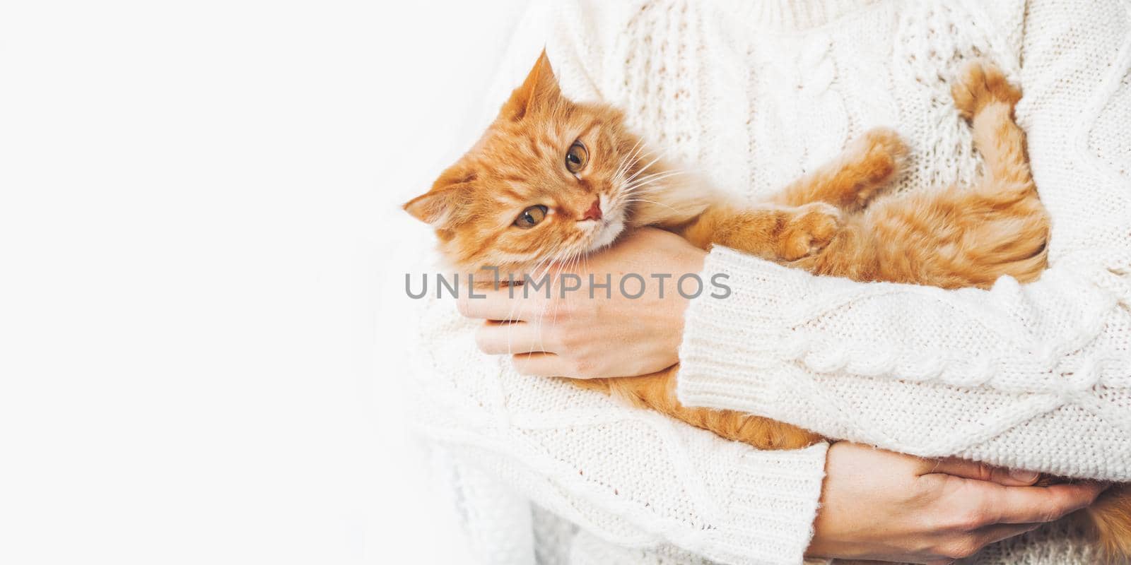 Woman in white cable-knit sweater holds ginger cat on hands. Fluffy pet with scared face expression. Light banner with copy space.