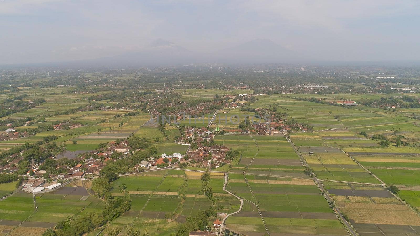 agricultural landscape in asia with rice fields, farmers village agricultural land with sown green in countryside. farmland with agricultural crops in rural areas Java Indonesia. Land with grown plants of paddy
