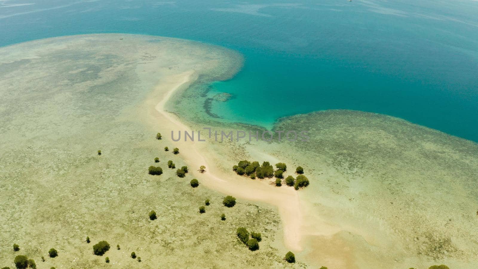Mangrove trees on coral reef with sand bar surrounded by sea blue water. aerial view tropical island with mangroves. Mangrove landscape, Philippines.