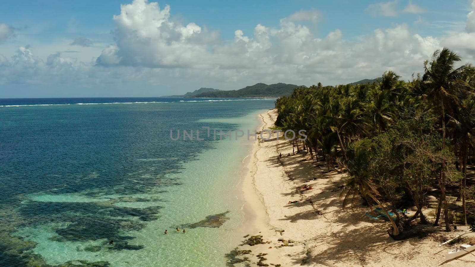 Tropical sandy beach with palm trees and blue water, aerial view. Summer and travel vacation concept. Siargao, Philippines.