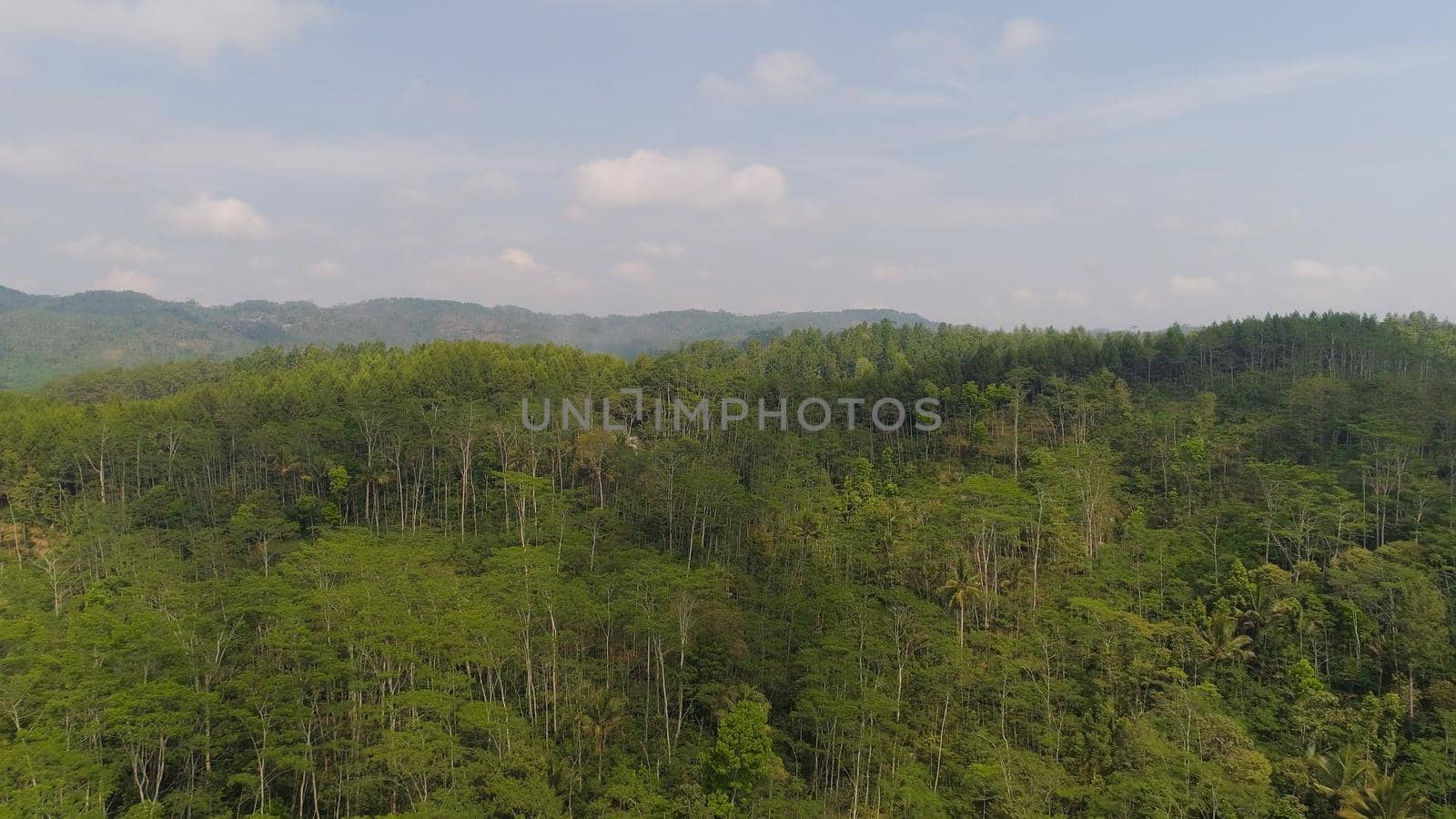 tropical forest in Indonesia. aerial view rainforest with tall green trees, lush vegetation on mountain slopes.