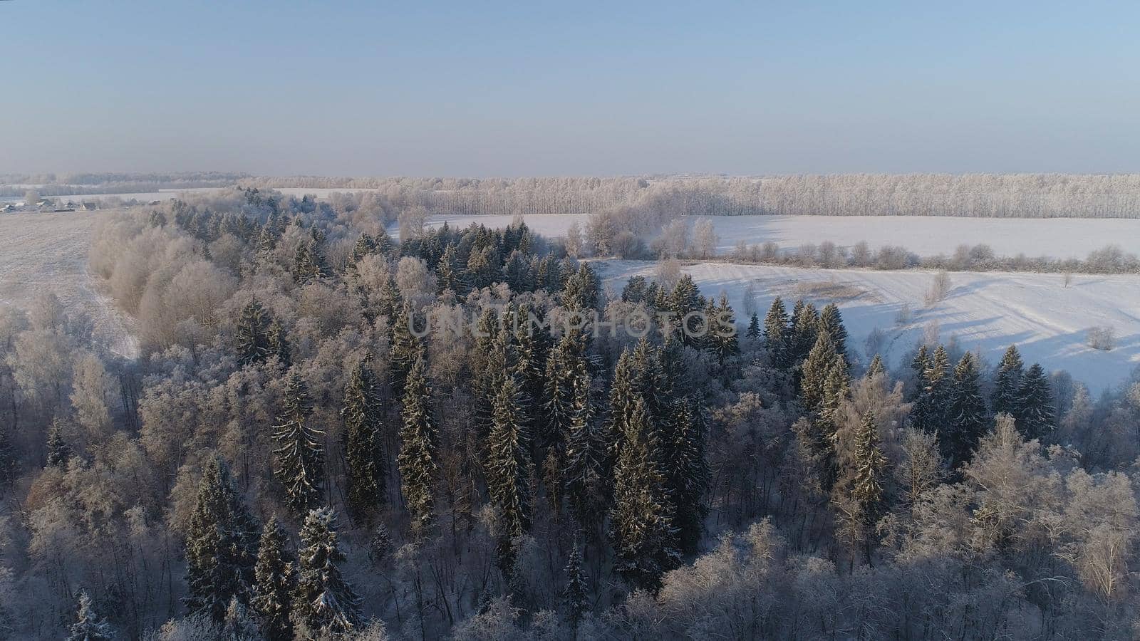 aerial view village among the fields and forests in winter. winter landscape snow covered field and trees in countryside.