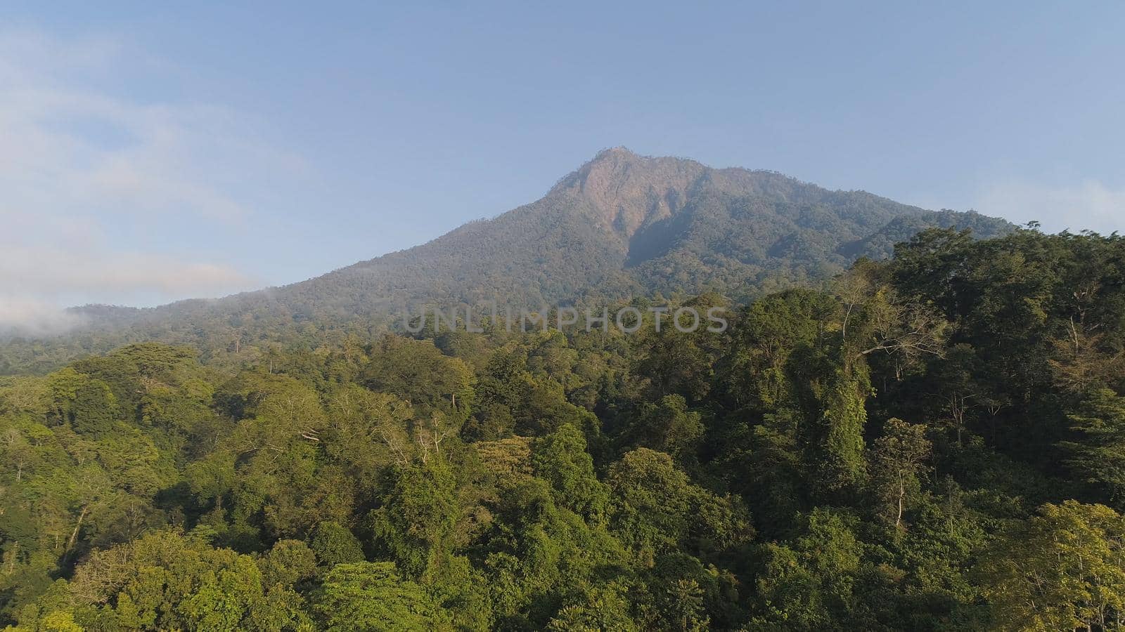 aerial view tropical forest with lush vegetation and mountains, java island. tropical landscape, rainforest in mountainous area Indonesia. green, lush vegetation.