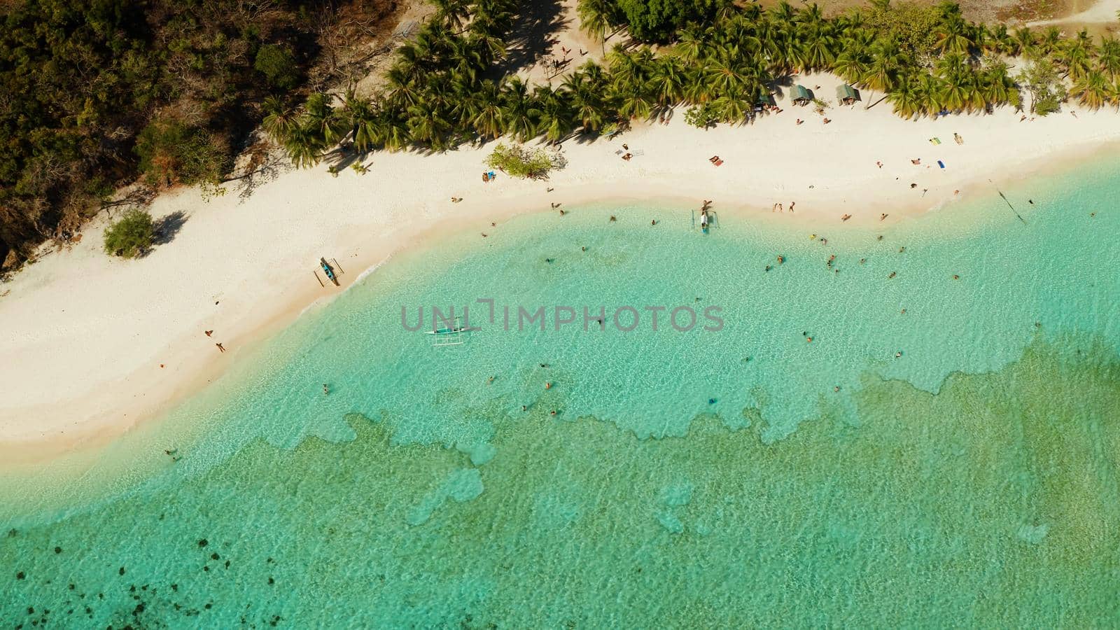 aerial seascape tourists enjoy tropical beach. tropical island with sand beach, palm trees. Malcapuya, Philippines, Palawan. Tropical landscape with blue lagoon, coral reef
