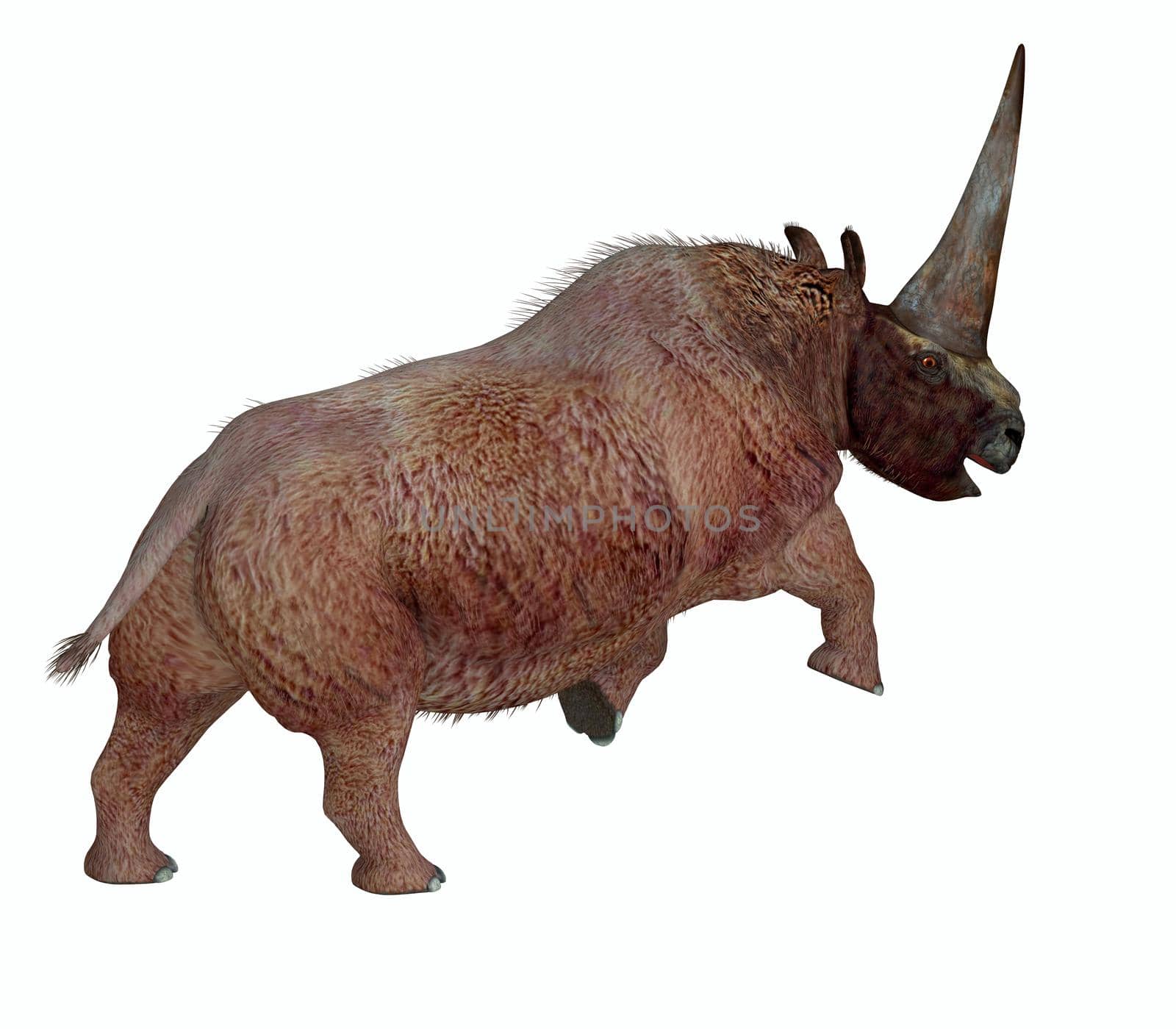 Elasmotherium was a herbivorous rhinoceros mammal that had a large horn on it's forehead and lived during the Pliocene and Pleistocene periods.