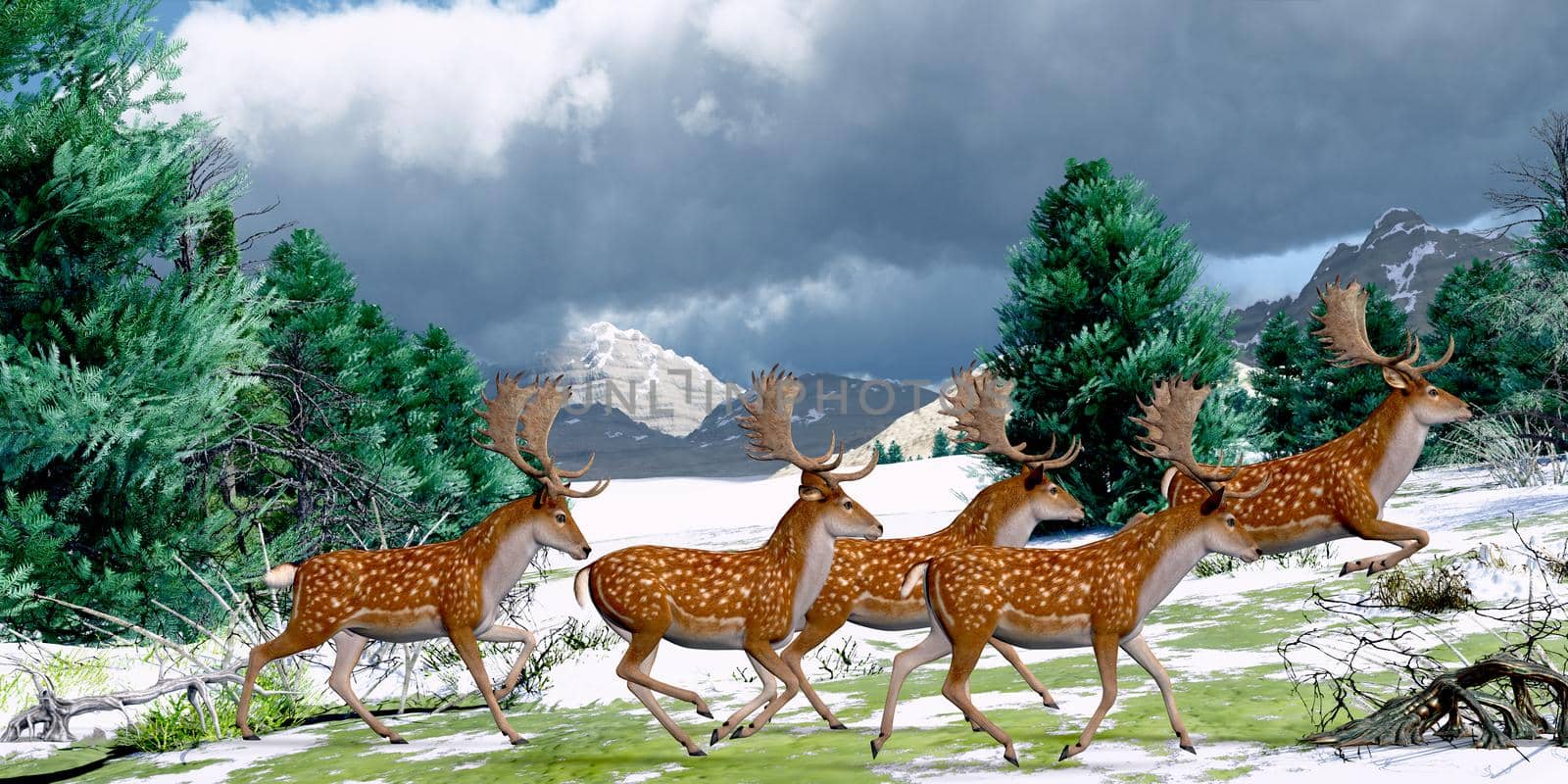 A herd of Fallow deer bucks run together in an evergreen forest in Europe during the Pleistocene Period.