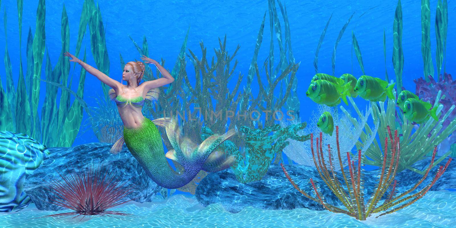 A school of Lemonpeel Angelfish watch as a beautiful mermaid swims near a underwater reef.
