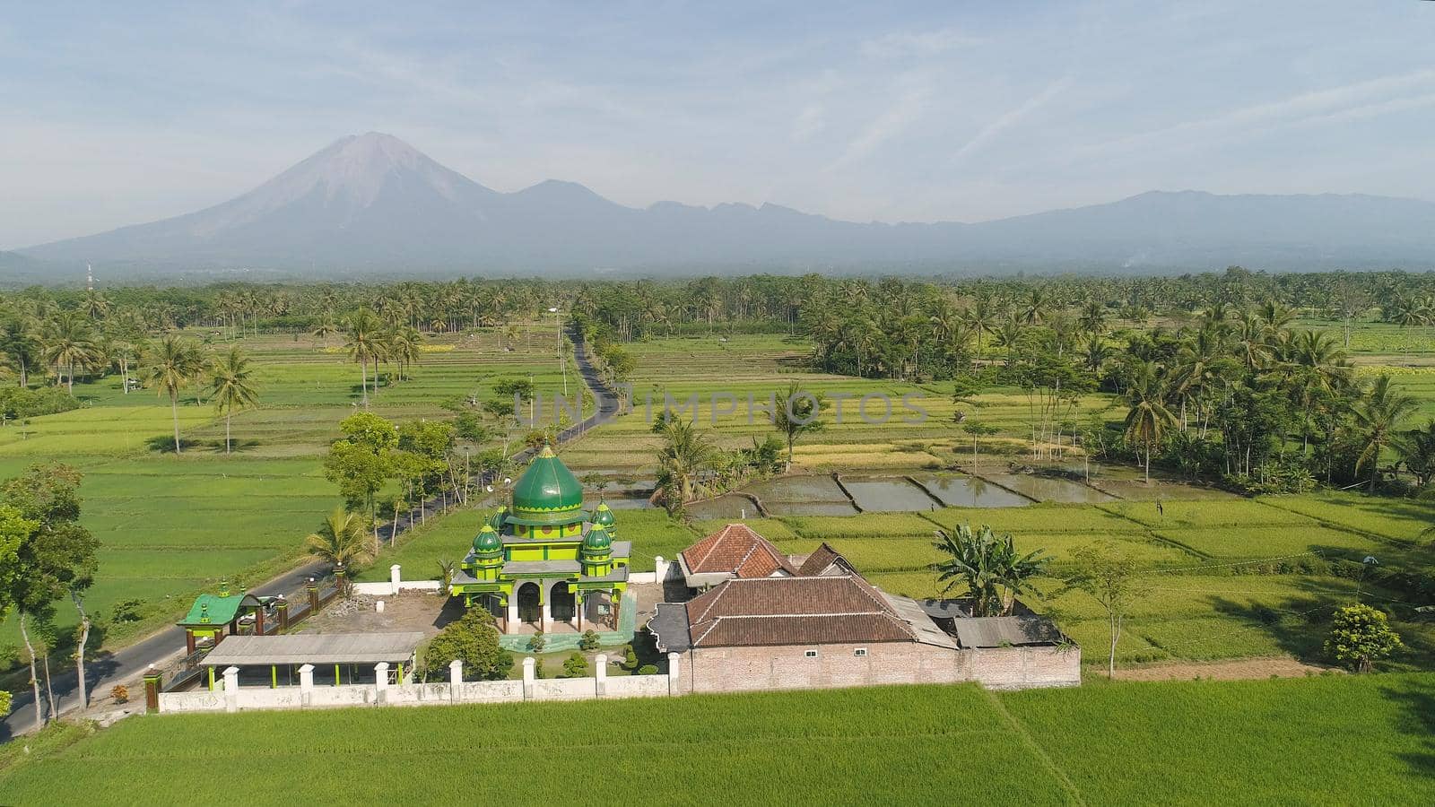 mosque in middle rice fields in Indonesia. aerial view farmland with rice terrace agricultural crops in rural areas Java Indonesia