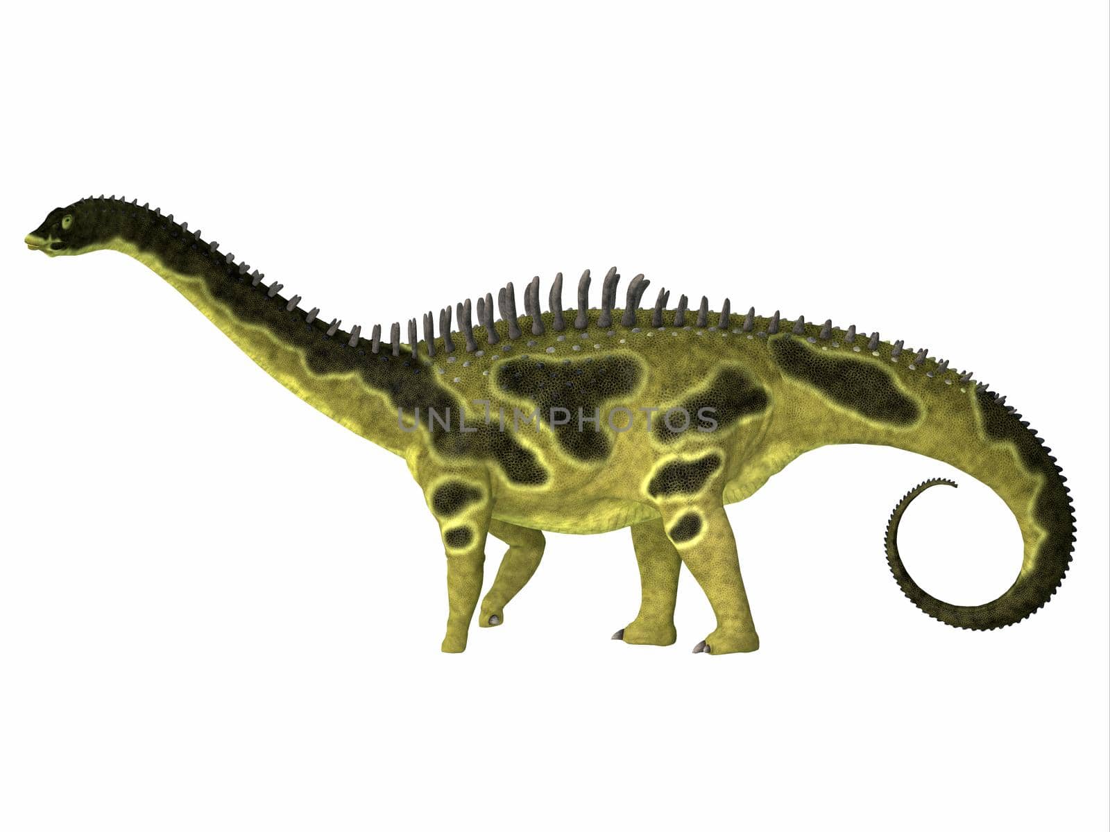 Agustinia Dinosaur Side Profile by Catmando