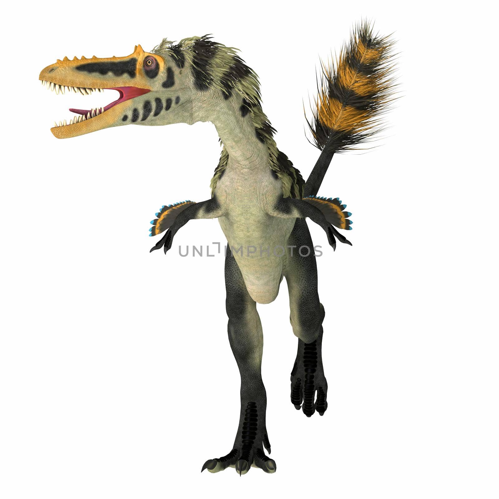 Alioramus altai Dinosaur Front by Catmando