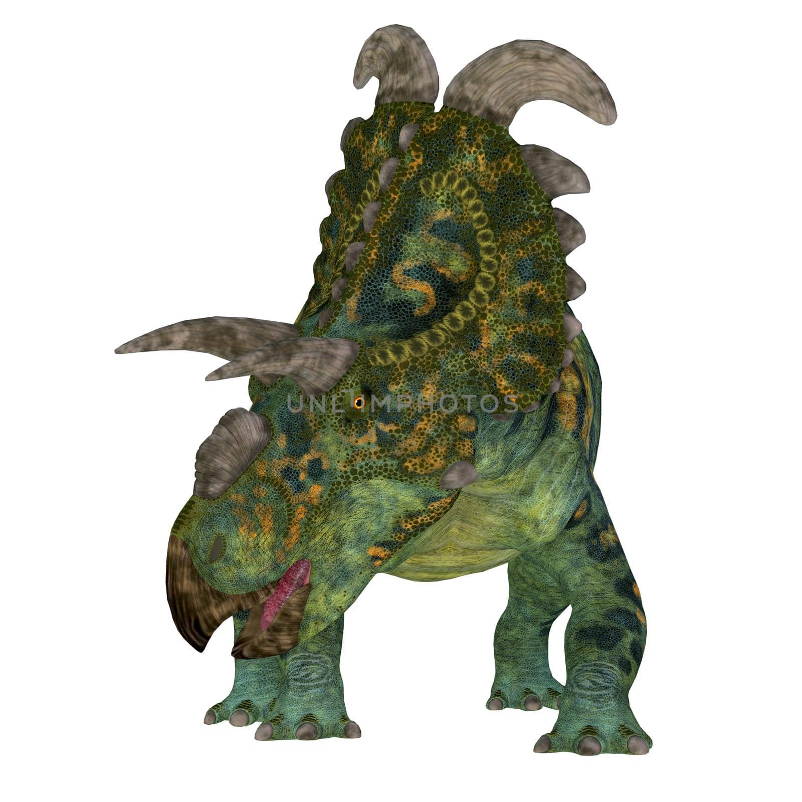 Albertaceratops Dinosaur Front by Catmando