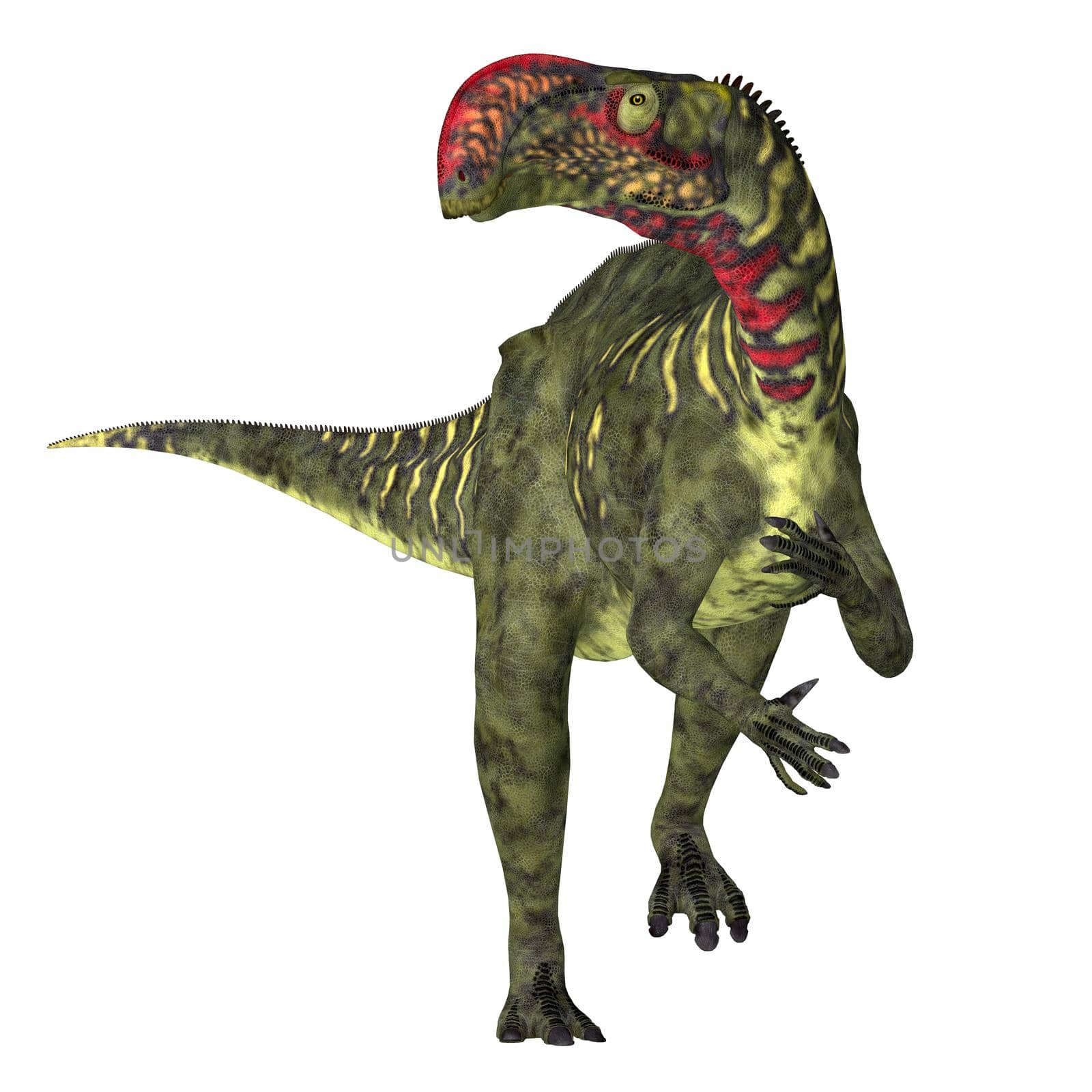 Altirhinus Dinosaur Front by Catmando
