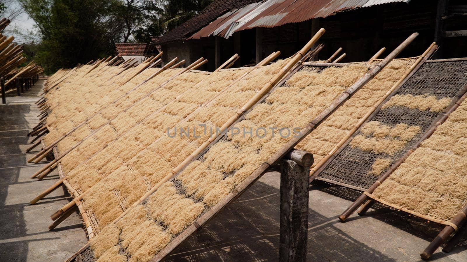 noodle drying in sun at noodle factory in indonesia Bantul, Yogyakarta, Indonesia