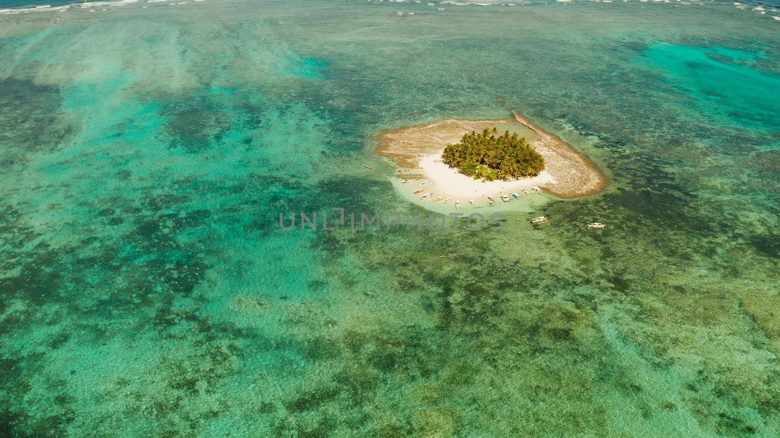 Seascape with beautiful beach and tropical island palm trees by coral reef from above. Guyam island, Philippines, Siargao. Summer and travel vacation concept
