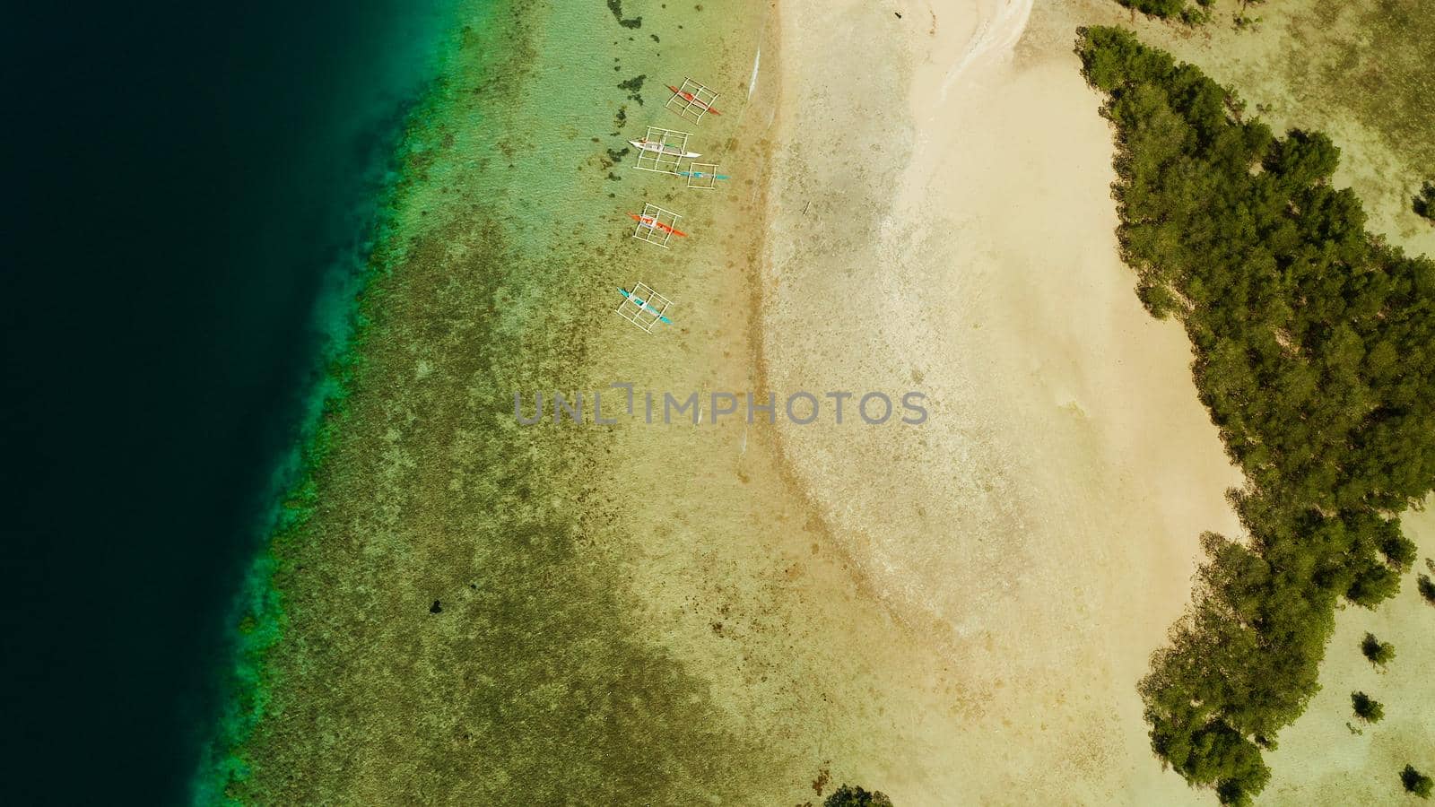 Tropical island and sandy beach with tourists surrounded by coral reef and blue sea in honda bay, aerial view. Island with sand bar and coral reef. starfish island. Summer and travel vacation concept, Philippines, Palawan