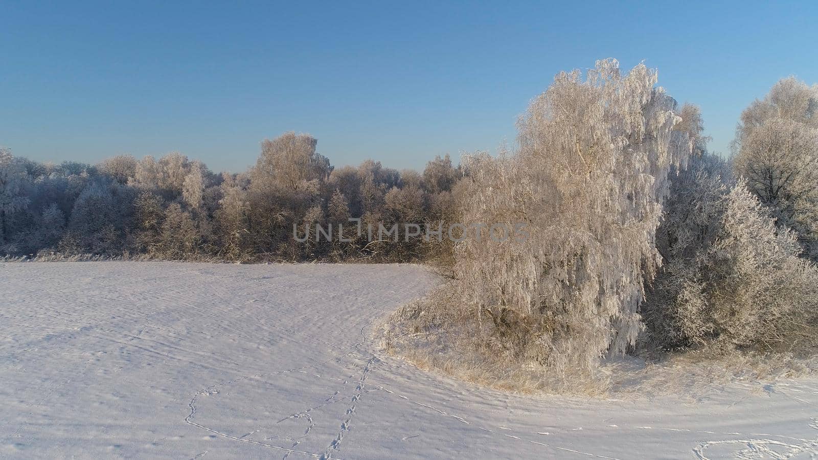 aerial view winter landscape trees covered with snow in countryside. field and trees in winter