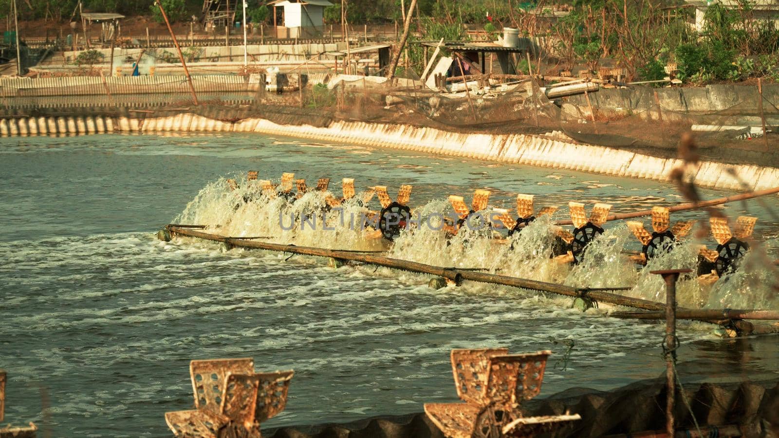 shrimp, prawn farming with with aerator pump for oxygenation water near ocean. Shrimp farms aquaculture business exported international market. java, indonesia