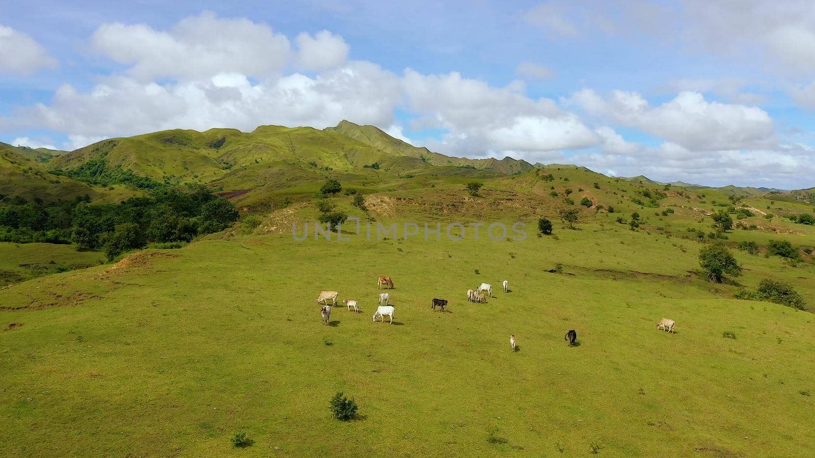 Beautiful landscape on the island of Luzon, aerial view. Green hills and blue sky with clouds. Beautiful landscape on the island of Luzon, aerial view. Hills and mountains are covered with meadows and grass.