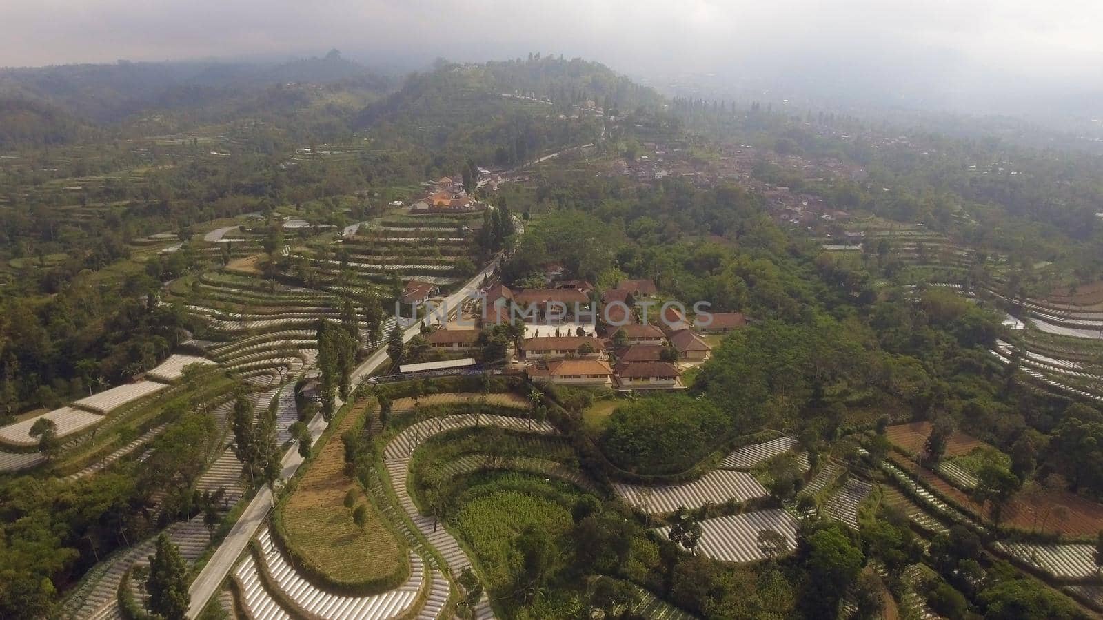 agricultural land in mountains rice terraces, fields with crops, trees. Aerial view farmlands on mountainside Java, Indonesia. tropical landscape
