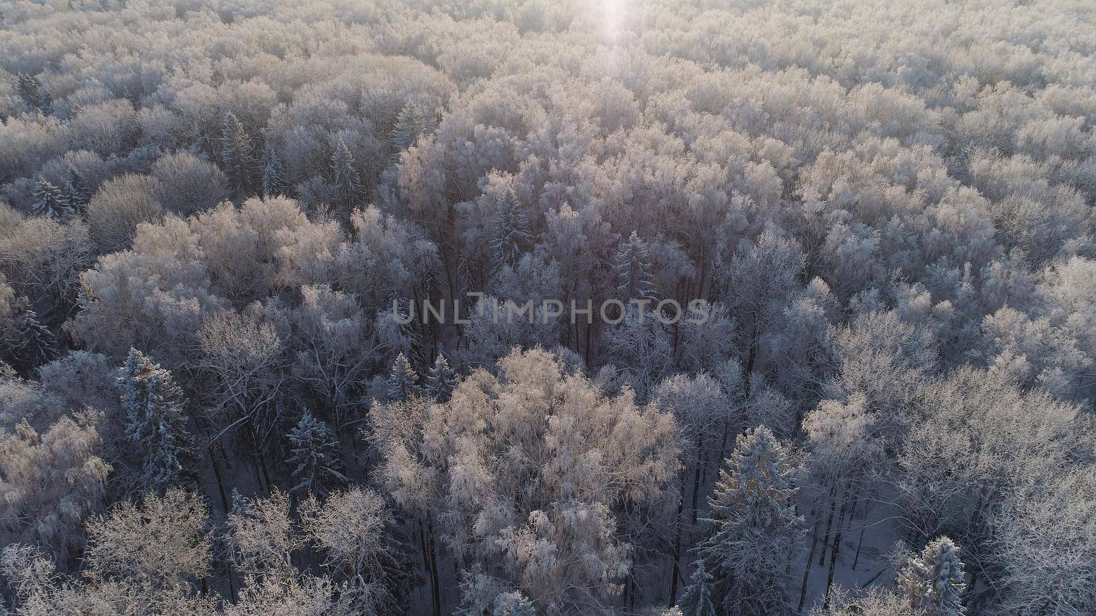 aerial view forest covered snow, frost. Frozen branches with hoarfrost in winter forest on sunny day winter landscape