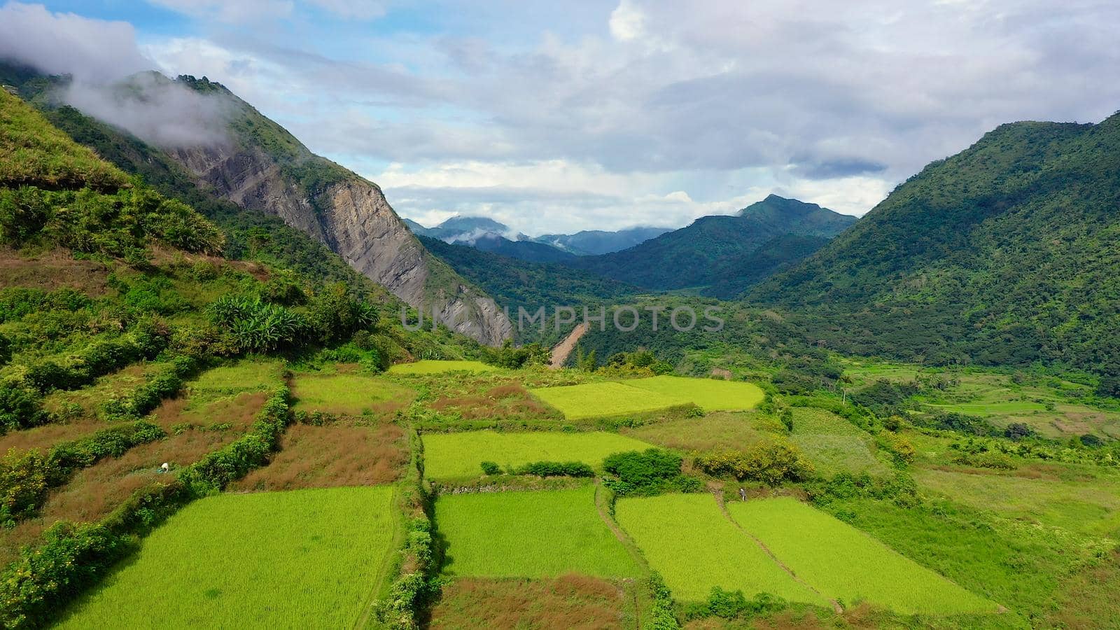 Mountain peaks with rainforest. Tropical trees and palm trees on a hillside. Cordillera on Luzon Island, Philippines, aerial view.