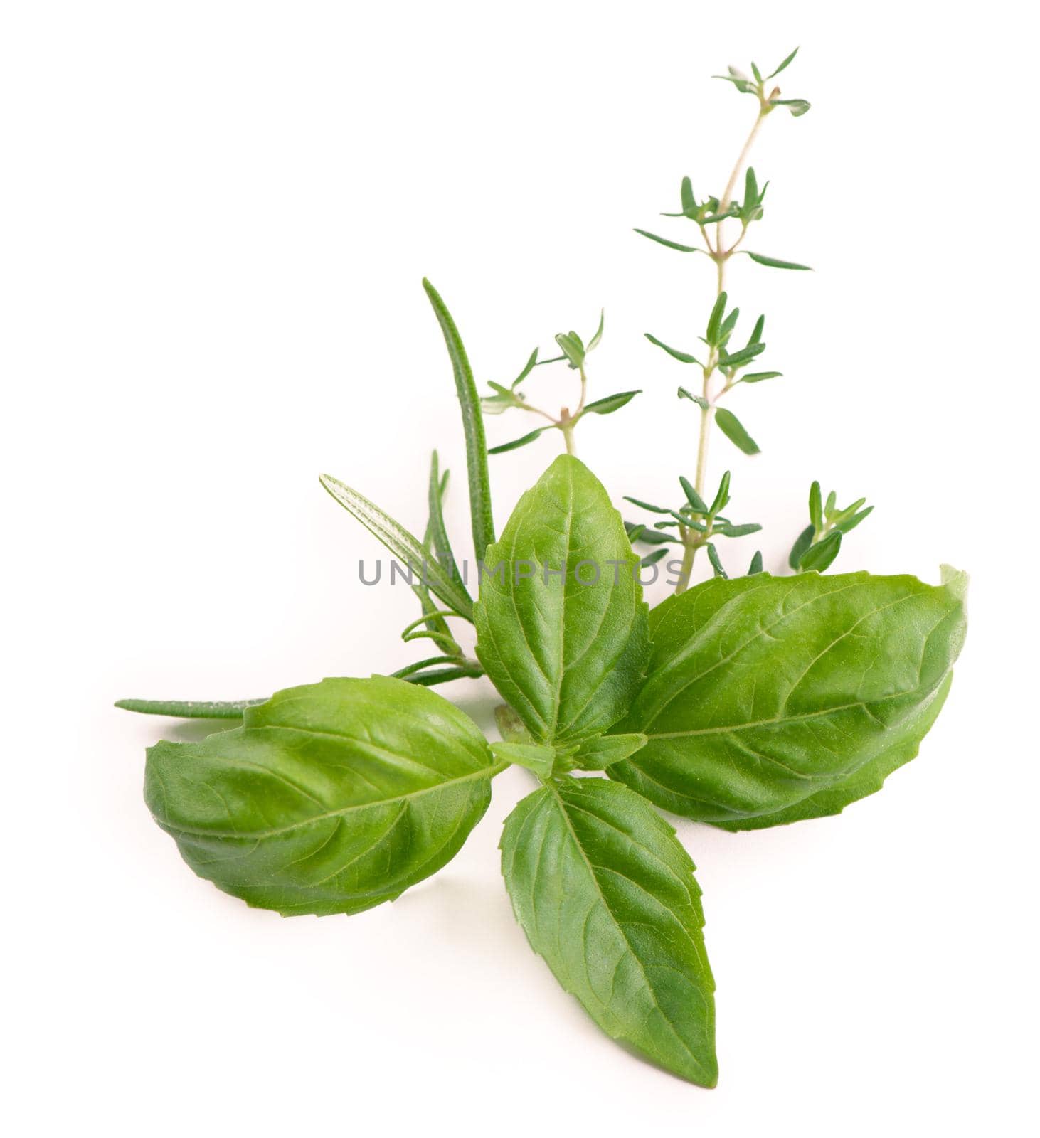 Fresh garden herbs spicy herbs - basil and thyme isolated on white background. Basil, rosemary, dill. Top view with copy space by aprilphoto