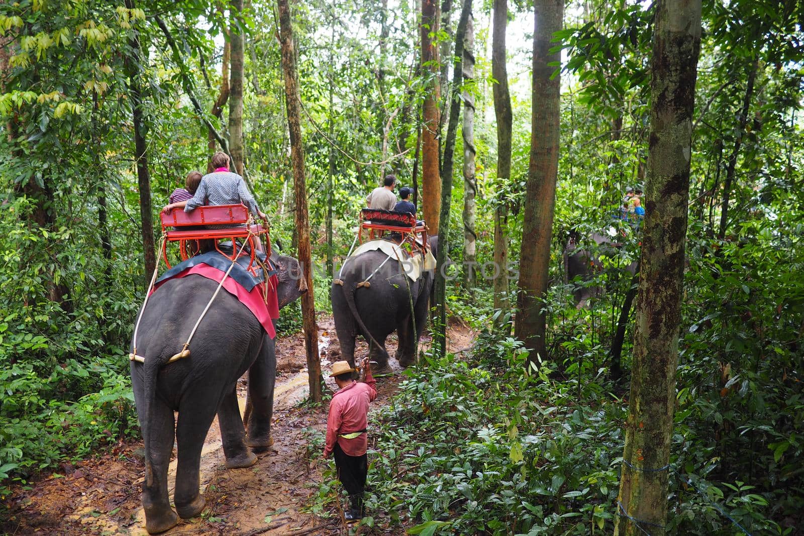 Tourists riding elephants in Thailand by fivepointsix