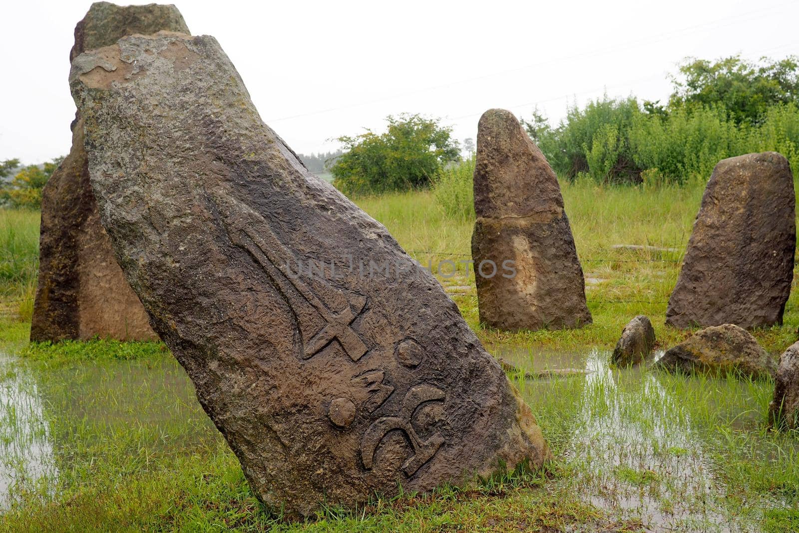 Ancient stone stelae at Tiya, Ethiopia