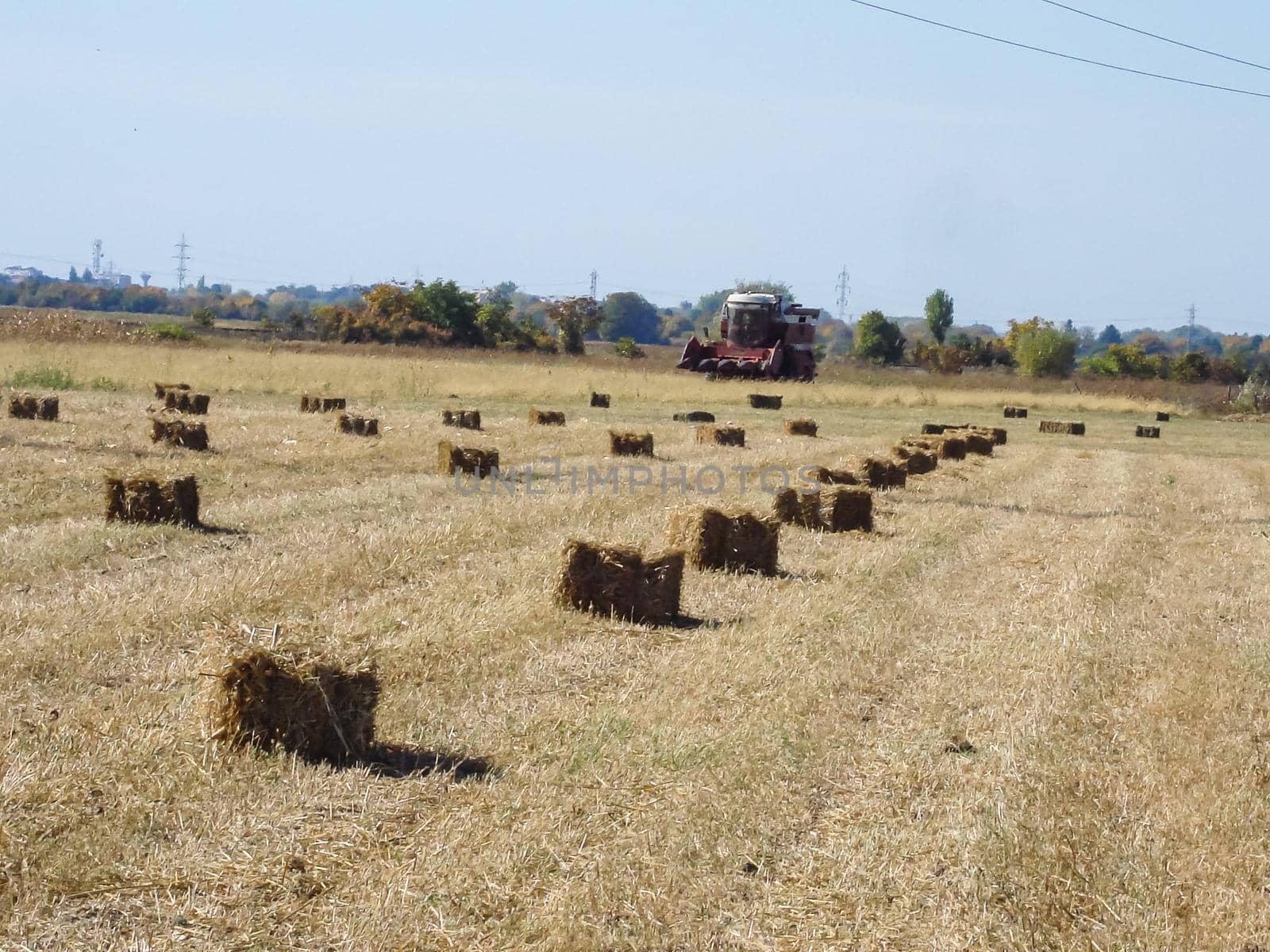 Agricultural field with straw bales after harvest.