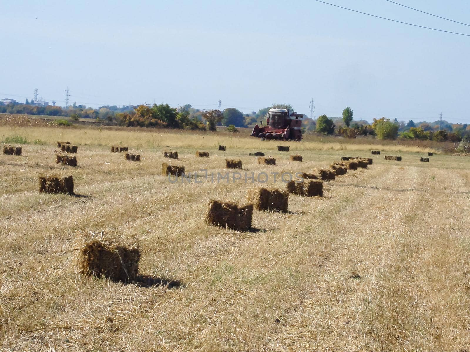 Agricultural field with straw bales after harvest. by vladispas