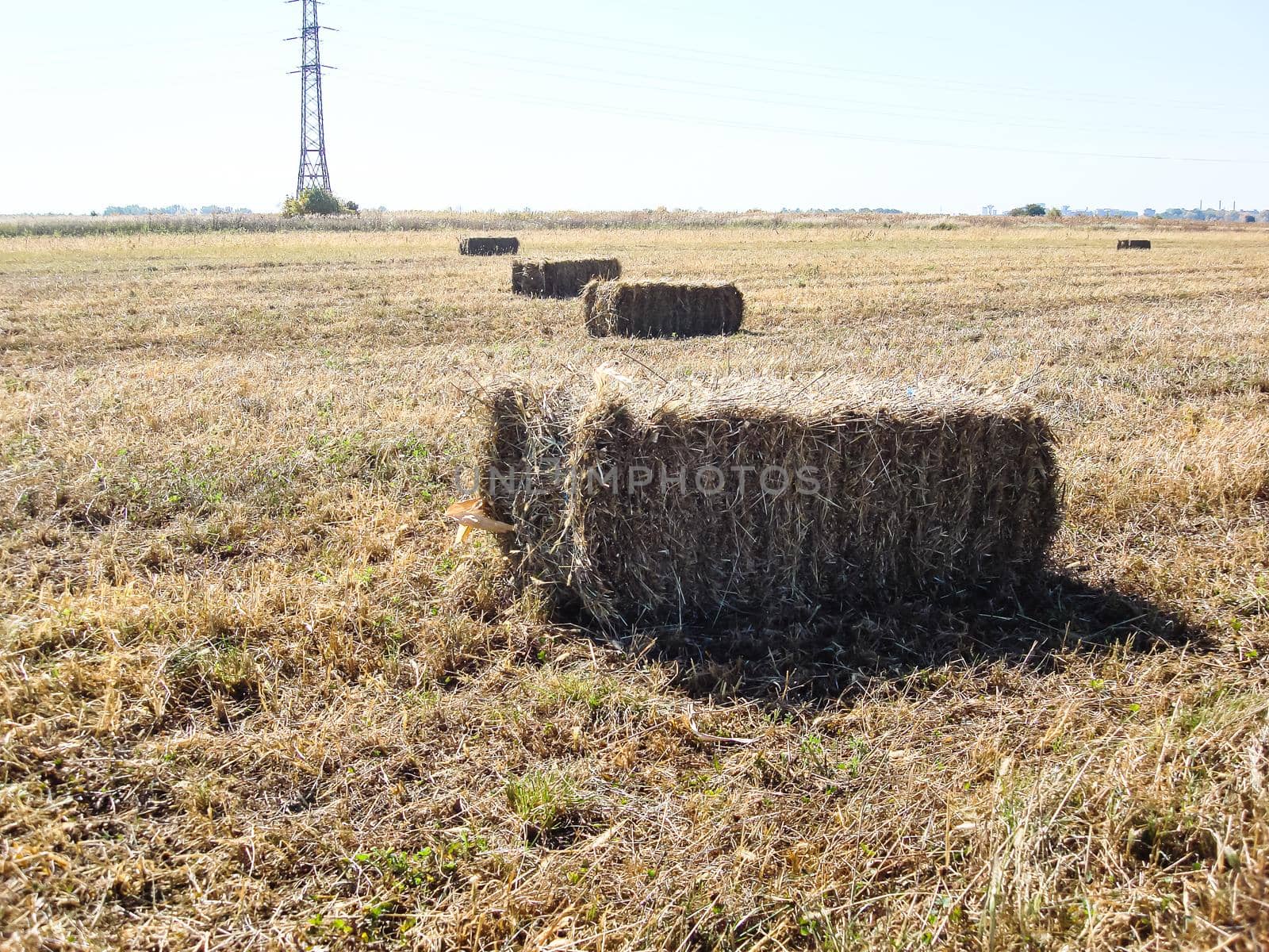 Agricultural field with straw bales after harvest. by vladispas