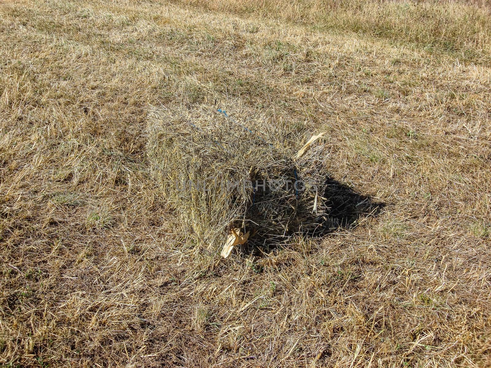 Agricultural field with straw bales after harvest.