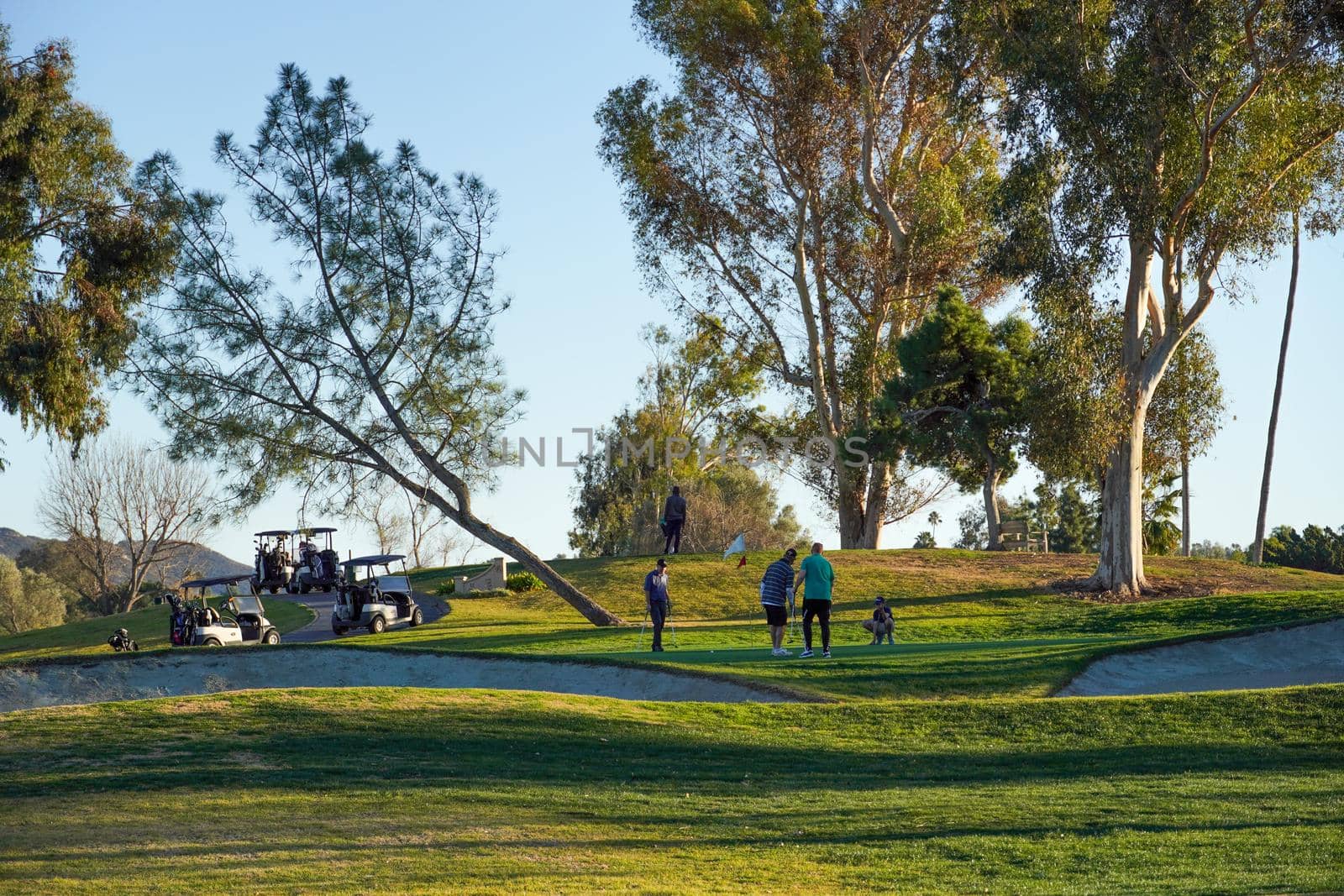 Golfer on the golf course. Golf course with a rich green turf beautiful scenery. San Diego, California, USA. January 2nd, 2020