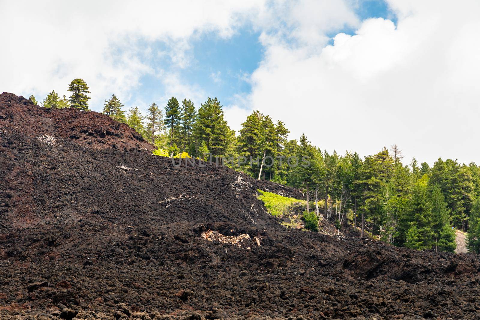 Mount Etna volcanic landscape and its typical vegetation, Sicily by mauricallari