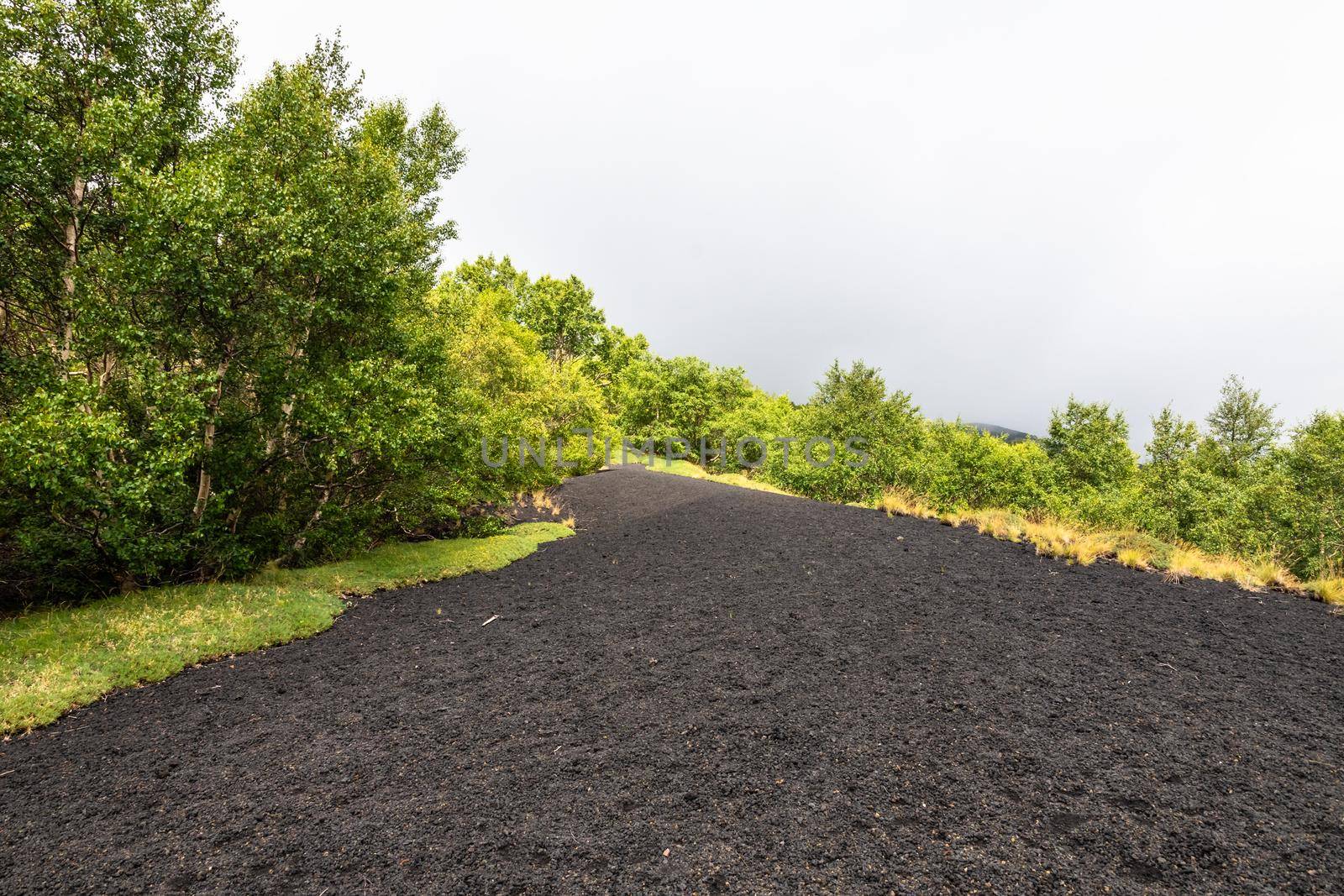 Mount Etna volcanic landscape and its typical vegetation, Sicily by mauricallari