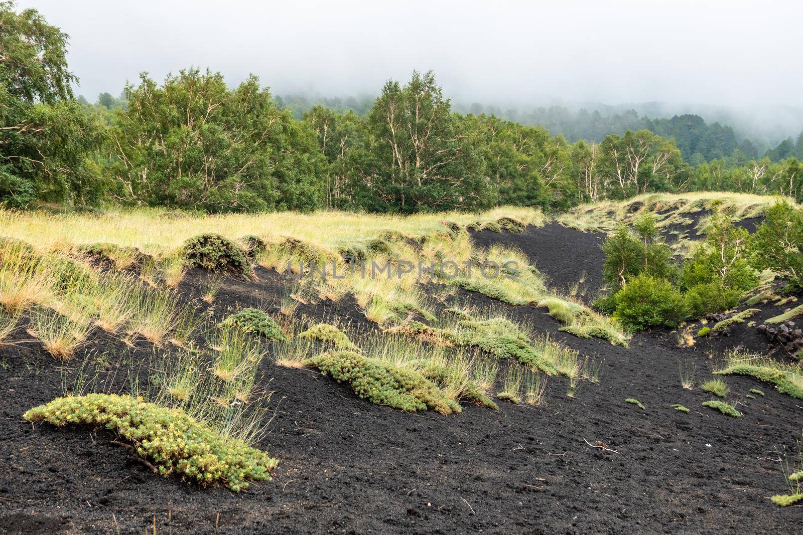 View of Etna volcano craters among the clouds near Piano Provenzana. Sicily, Italy