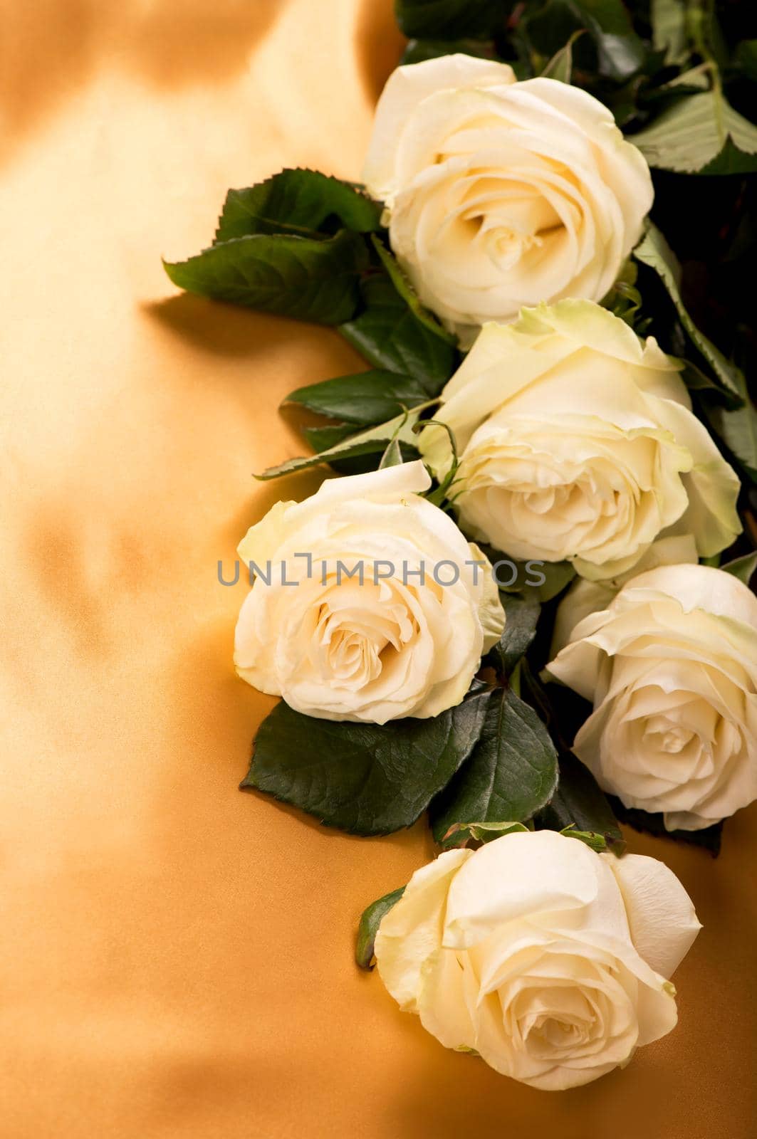 white roses on golden silk background