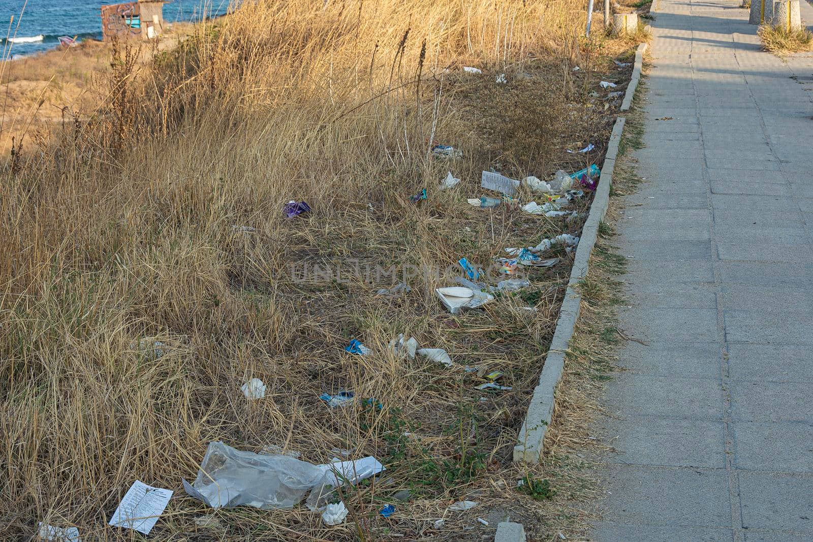 Garbage on the grass along the pedestrian sidewalk. Stock photo.
