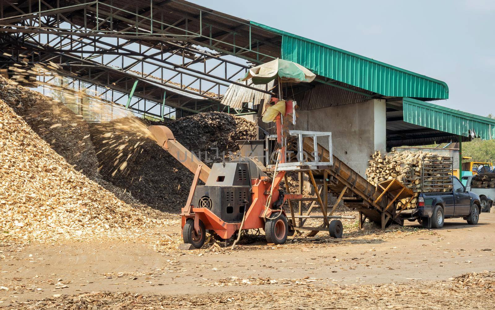 Crushing machine of wood and logs to process waste and transform into pellets