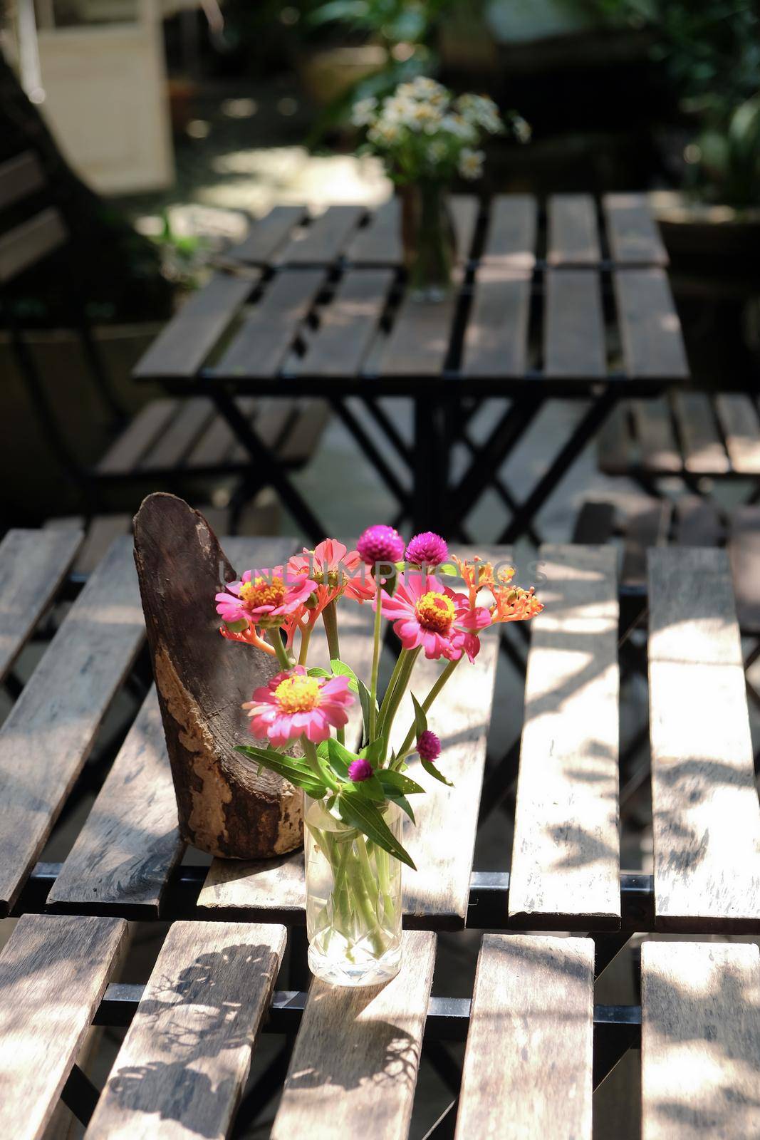 Table setting for a garden lunch by ponsulak