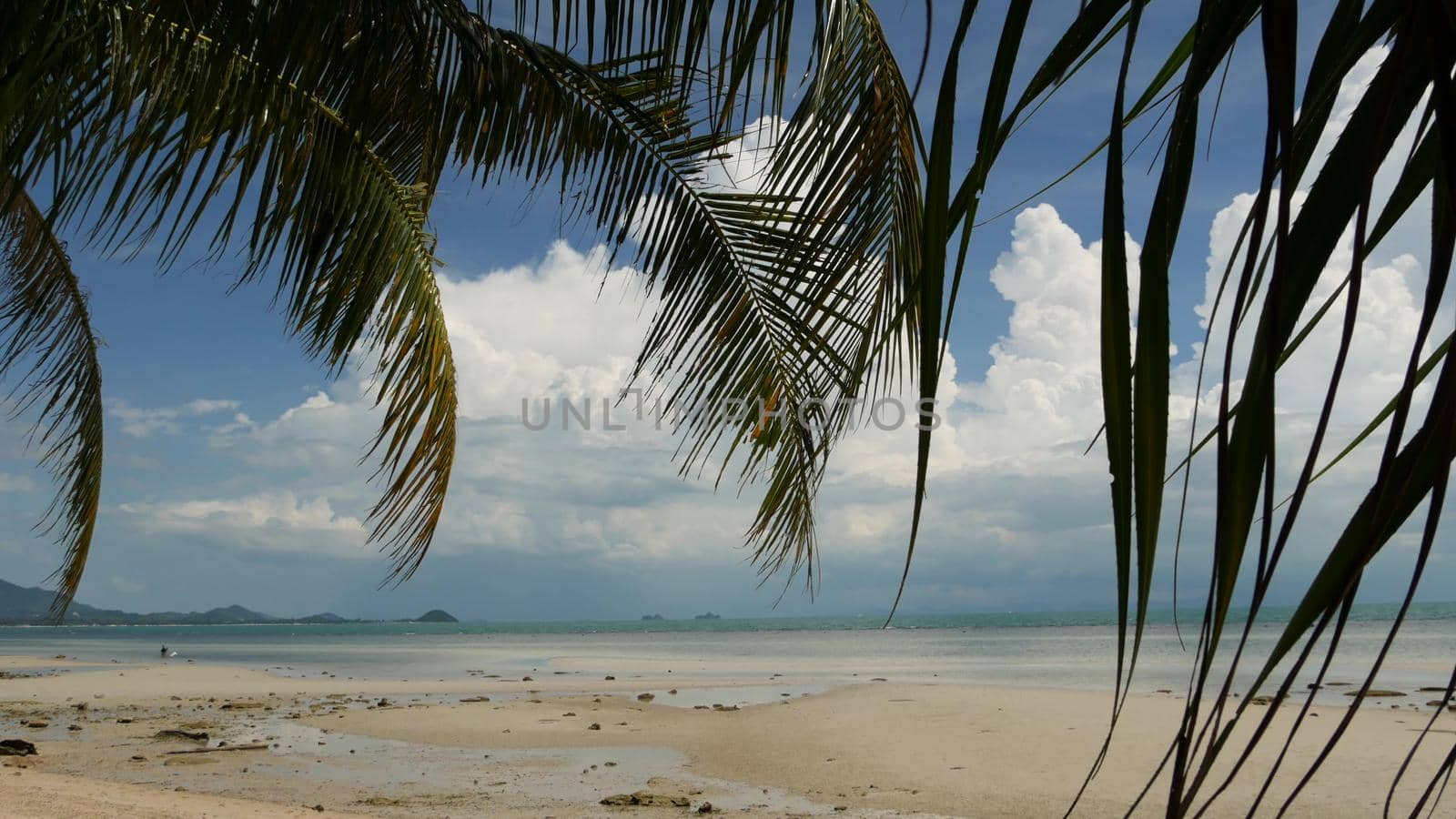 Tropical sandy beach of paradise island. Green palm leaf overlooking sea. Soft focus blurred natural abstract background with copy space and bokeh. Travel, tourism and summer vacation concept