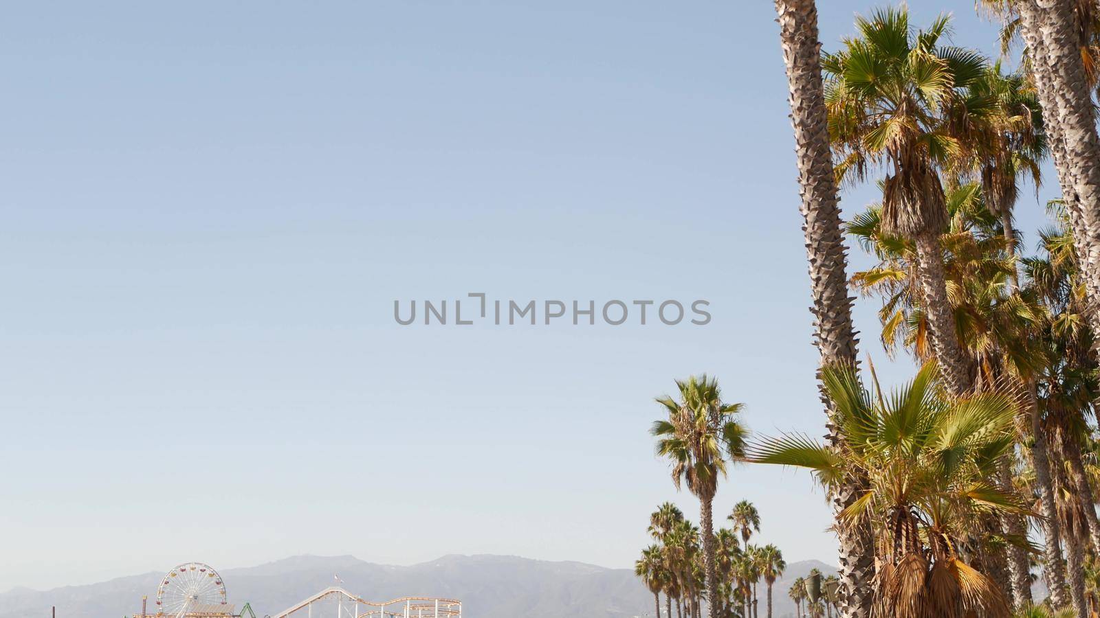 California beach aesthetic, classic ferris wheel, amusement park on pier, Santa Monica pacific ocean resort. Summertime iconic view, palm trees and sky, symbol of Los Angeles with copy space, CA USA.