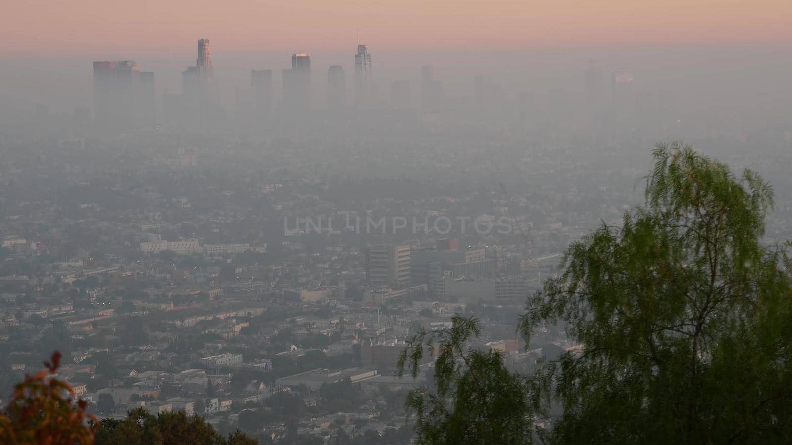 Highrise skyscrapers of metropolis in smog, Los Angeles, California USA. Air toxic pollution and misty urban downtown skyline. Cityscape in dirty fog. Low visibility in city with ecology problems.