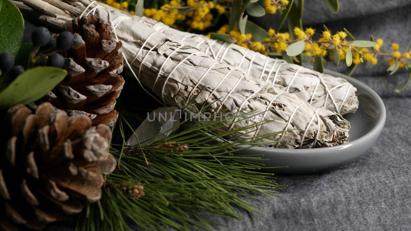 Dried white sage smudge stick, relaxation and aromatherapy. Smudging during psychic occult ceremony, herbal healing, yoga or aura cleaning. Essential incense for esoteric rituals and fortune telling by DogoraSun